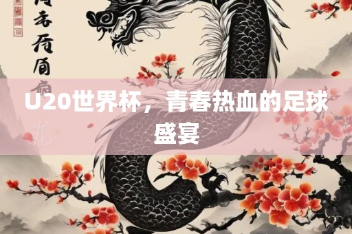 U20世界杯，青春热血的足球盛宴
