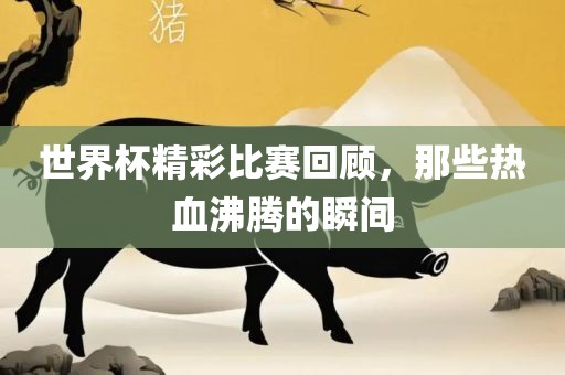 世界杯精彩比赛回顾，那些热血沸腾的瞬间