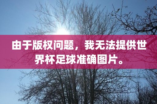 由于版权问题，我无法提供世界杯足球准确图片。