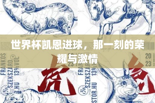 世界杯凯恩进球，那一刻的荣耀与激情