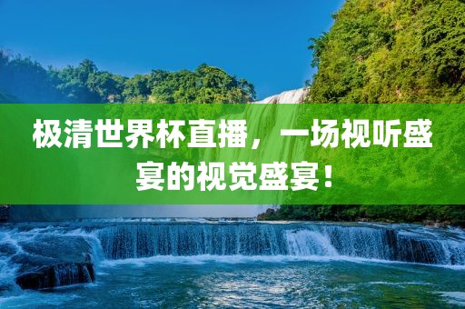 极清世界杯直播，一场视听盛宴的视觉盛宴！
