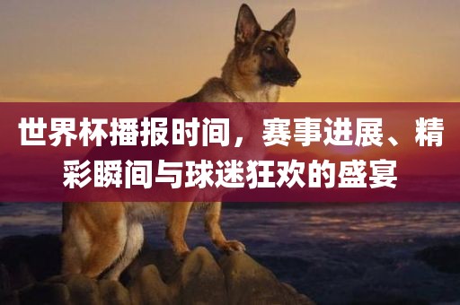 世界杯播报时间，赛事进展、精彩瞬间与球迷狂欢的盛宴