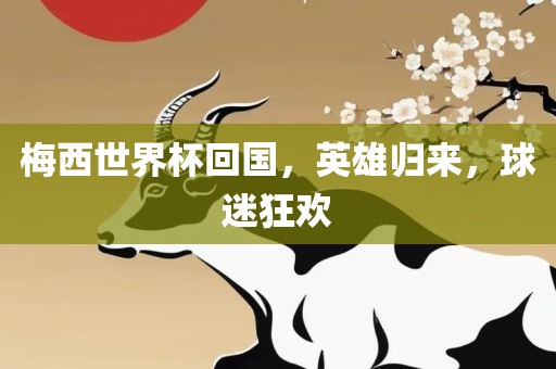 梅西世界杯回国，英雄归来，球迷狂欢
