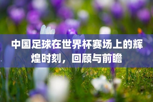 中国足球在世界杯赛场上的辉煌时刻，回顾与前瞻