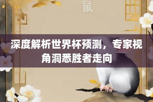 深度解析世界杯预测，专家视角洞悉胜者走向