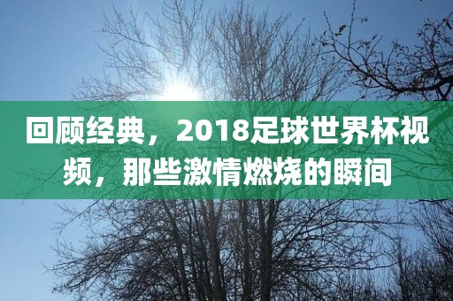 回顾经典，2018足球世界杯视频，那些激情燃烧的瞬间