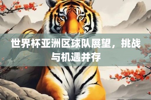 世界杯亚洲区球队展望，挑战与机遇并存