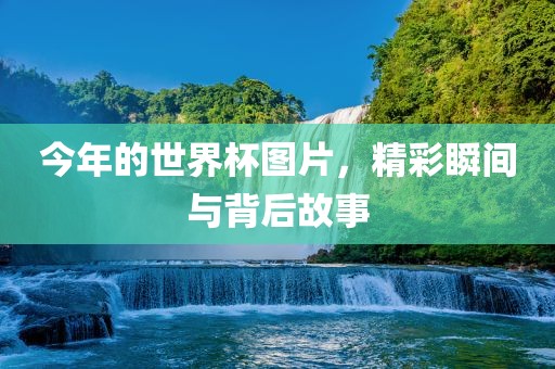 今年的世界杯图片，精彩瞬间与背后故事