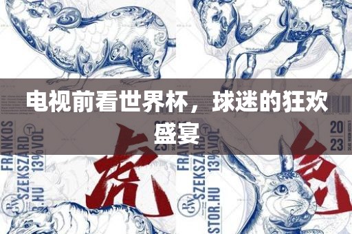 电视前看世界杯，球迷的狂欢盛宴