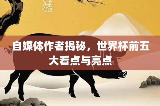 自媒体作者揭秘，世界杯前五大看点与亮点
