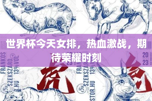世界杯今天女排，热血激战，期待荣耀时刻