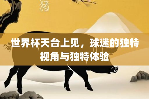 世界杯天台上见，球迷的独特视角与独特体验