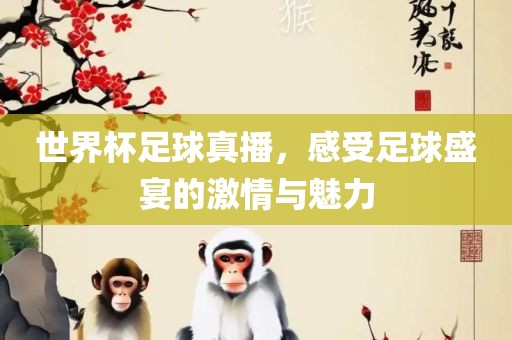 世界杯足球真播，感受足球盛宴的激情与魅力