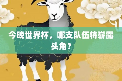 今晚世界杯，哪支队伍将崭露头角？