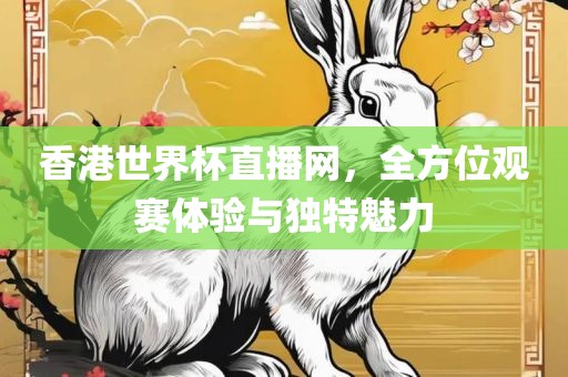 香港世界杯直播网，全方位观赛体验与独特魅力