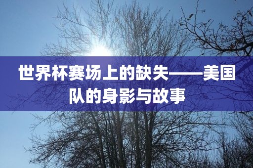 世界杯赛场上的缺失——美国队的身影与故事