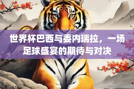 世界杯巴西与委内瑞拉，一场足球盛宴的期待与对决