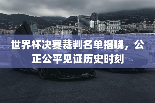 世界杯决赛裁判名单揭晓，公正公平见证历史时刻