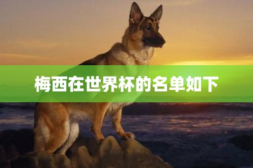 梅西在世界杯的名单如下
