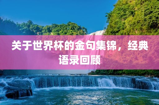 关于世界杯的金句集锦，经典语录回顾