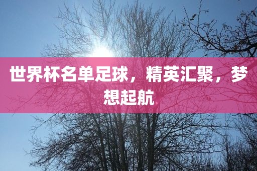 世界杯名单足球，精英汇聚，梦想起航