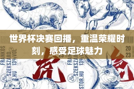 世界杯决赛回播，重温荣耀时刻，感受足球魅力