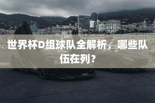 世界杯D组球队全解析，哪些队伍在列？