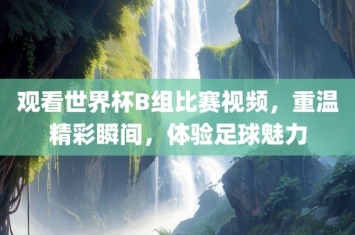 观看世界杯B组比赛视频，重温精彩瞬间，体验足球魅力