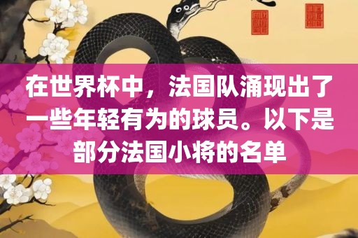 在世界杯中，法国队涌现出了一些年轻有为的球员。以下是部分法国小将的名单