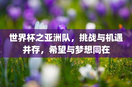世界杯之亚洲队，挑战与机遇并存，希望与梦想同在