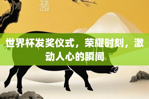 世界杯发奖仪式，荣耀时刻，激动人心的瞬间