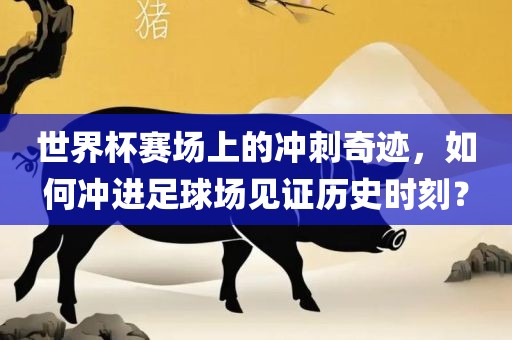 世界杯赛场上的冲刺奇迹，如何冲进足球场见证历史时刻？