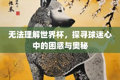 无法理解世界杯，探寻球迷心中的困惑与奥秘