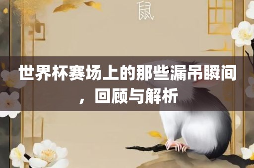世界杯赛场上的那些漏吊瞬间，回顾与解析