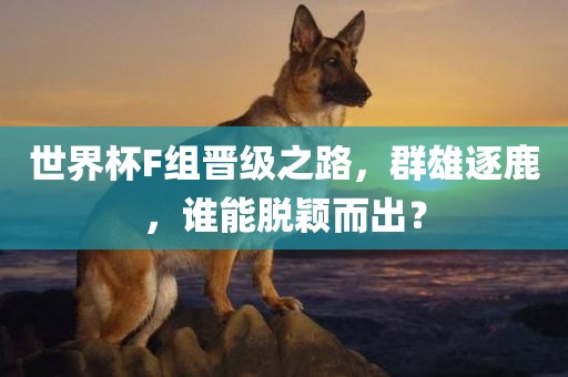 世界杯F组晋级之路，群雄逐鹿，谁能脱颖而出？