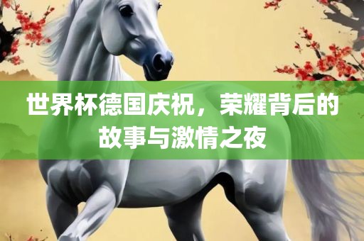 世界杯德国庆祝，荣耀背后的故事与激情之夜