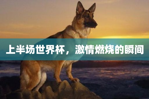 上半场世界杯，激情燃烧的瞬间