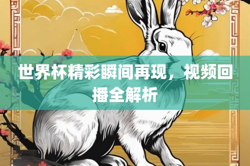 世界杯精彩瞬间再现，视频回播全解析