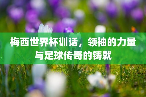 梅西世界杯训话，领袖的力量与足球传奇的铸就