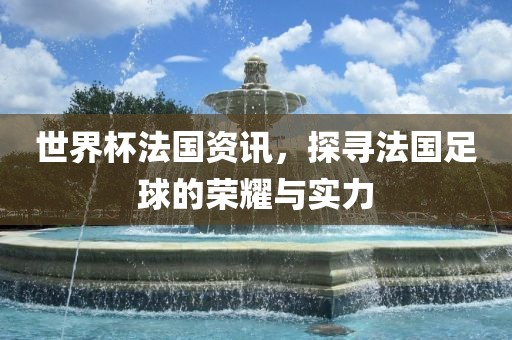 世界杯法国资讯，探寻法国足球的荣耀与实力
