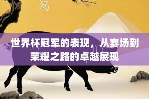 世界杯冠军的表现，从赛场到荣耀之路的卓越展现