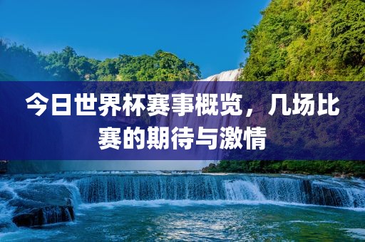 今日世界杯赛事概览，几场比赛的期待与激情