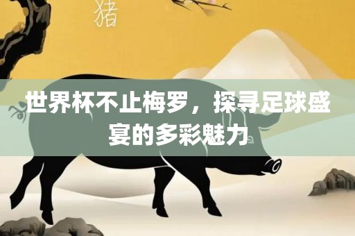 世界杯不止梅罗，探寻足球盛宴的多彩魅力