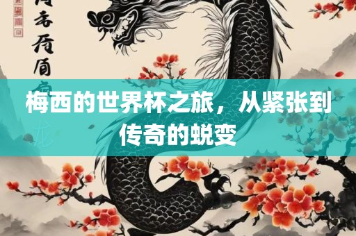 梅西的世界杯之旅，从紧张到传奇的蜕变