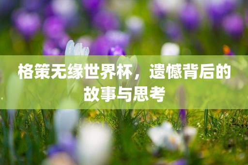 格策无缘世界杯，遗憾背后的故事与思考