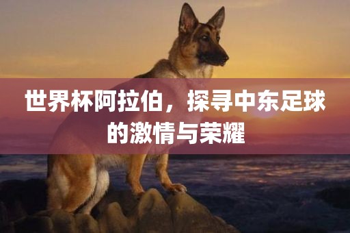 世界杯阿拉伯，探寻中东足球的激情与荣耀
