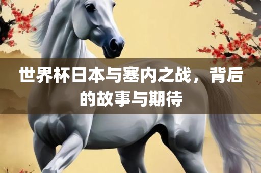 世界杯日本与塞内之战，背后的故事与期待