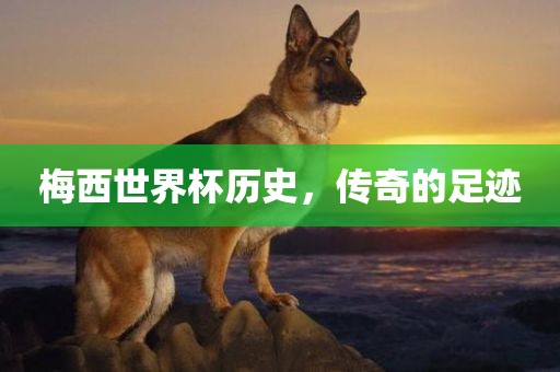 梅西世界杯历史，传奇的足迹