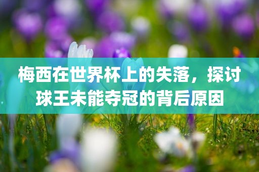 梅西在世界杯上的失落，探讨球王未能夺冠的背后原因