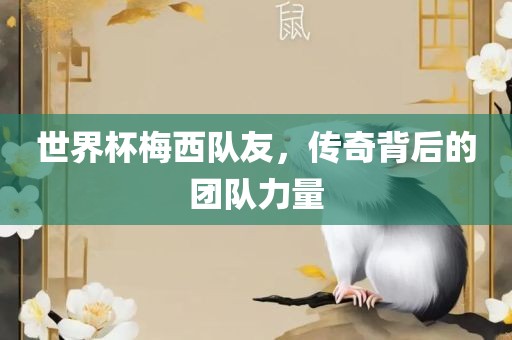 世界杯梅西队友，传奇背后的团队力量